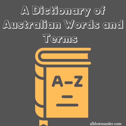A Dictionary of Australian Words and Terms