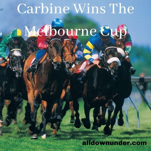 Carbine Wins The Melbourne Cup