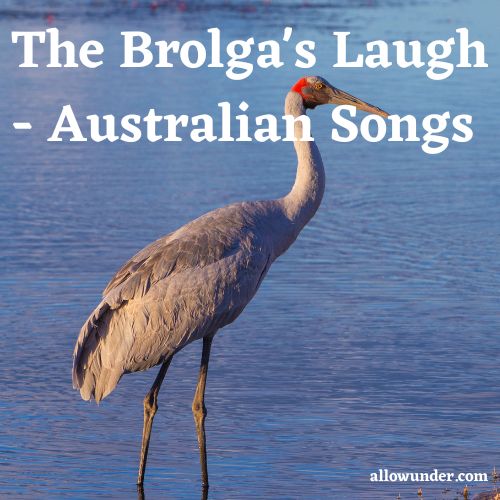 The Brolga's Laugh - Australian Songs