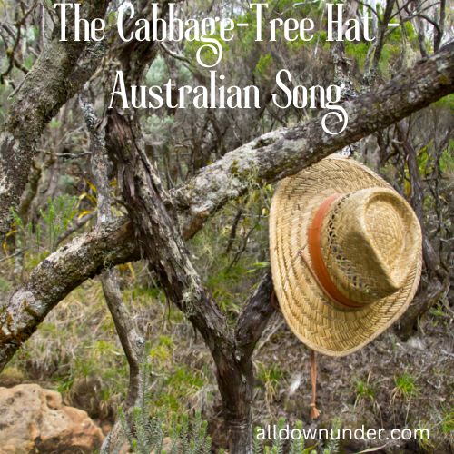 The Cabbage-Tree Hat