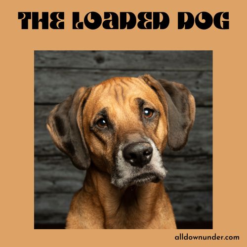 the loaded dog analysis
