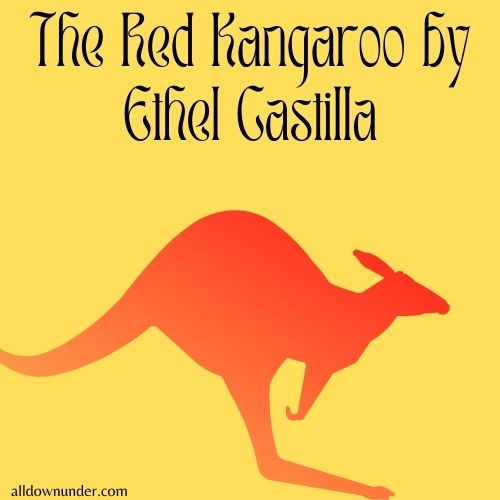 The Red Kangaroo