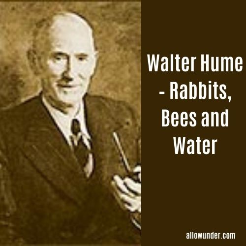Walter Hume – Rabbits, Bees and Water