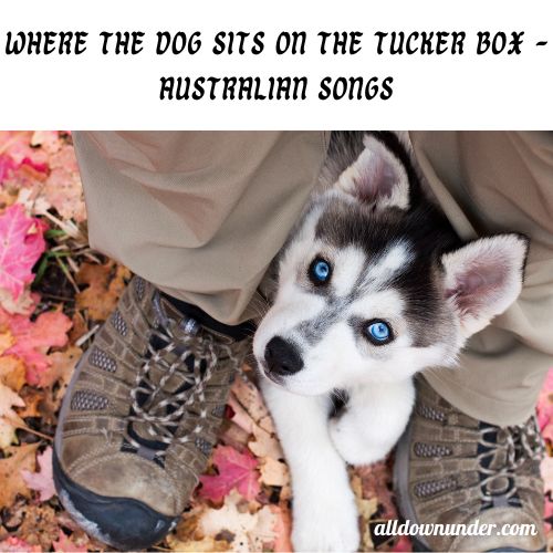 Where the Dog Sits on the Tucker Box - Australian Songs