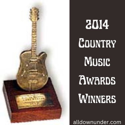 2014 Country Music Awards Winners