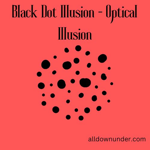 Black Dot Illusion