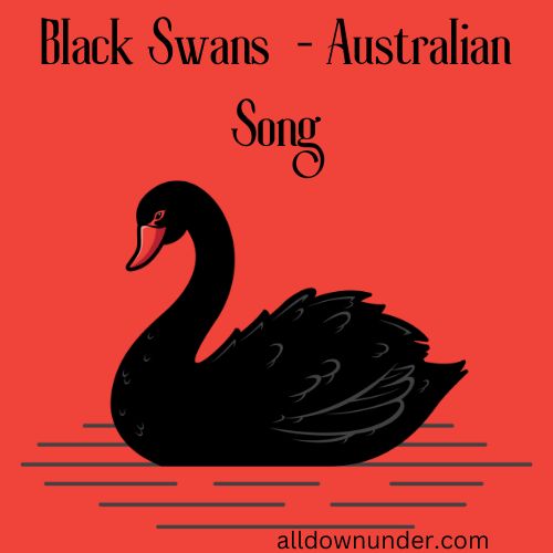 Black Swans  – Australian Song