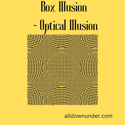 Box Illusion – Optical Illusion