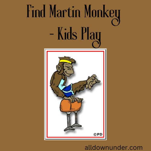 Find Martin Monkey