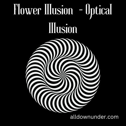 Flower Illusion - Optical Illusion