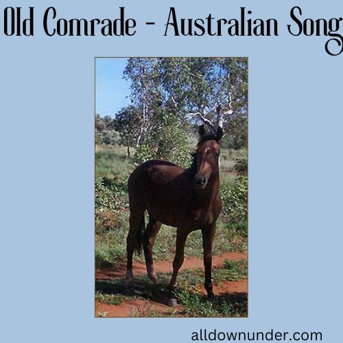 Old Comrade - Australian Song