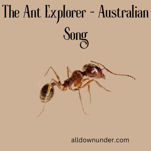 The Ant Explorer - Australian Song