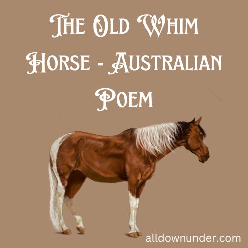 The Old Whim Horse - Australian Poem