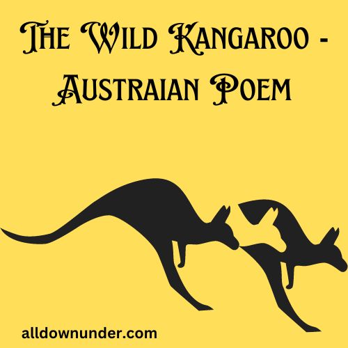 The Wild Kangaroo - Austraian Poem