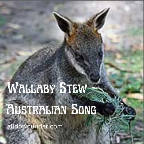 Wallaby Stew - Australian Song