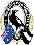 This image has an empty alt attribute; its file name is afl-collingwood.jpg
