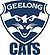 This image has an empty alt attribute; its file name is afl-geelong.jpg