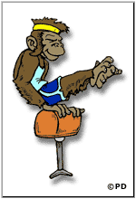 This image has an empty alt attribute; its file name is monkey02-150.gif