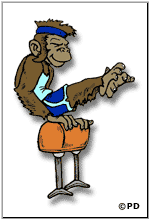 This image has an empty alt attribute; its file name is monkey03-150.gif