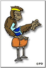 This image has an empty alt attribute; its file name is monkey04-150.gif